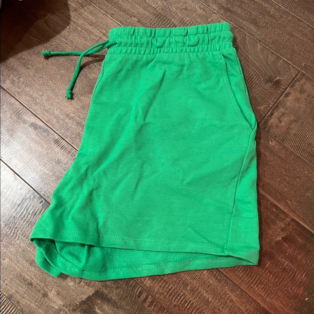 Zara Shorts